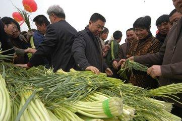 今天蒜苔价格最新行情,今天蒜苔价格最新行情表