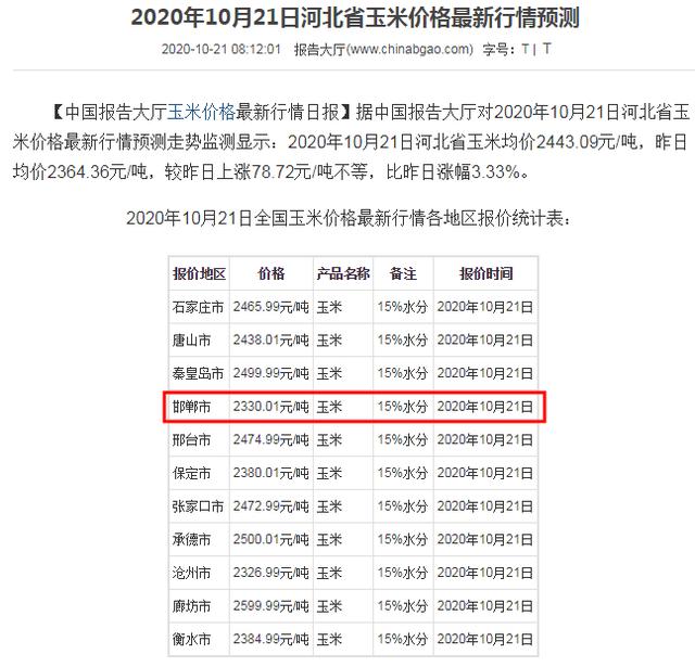 玉米行情专家最新预测,玉米行情与预测